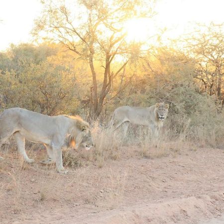 Kwalata Game Lodge Klipdrift Eksteriør bilde