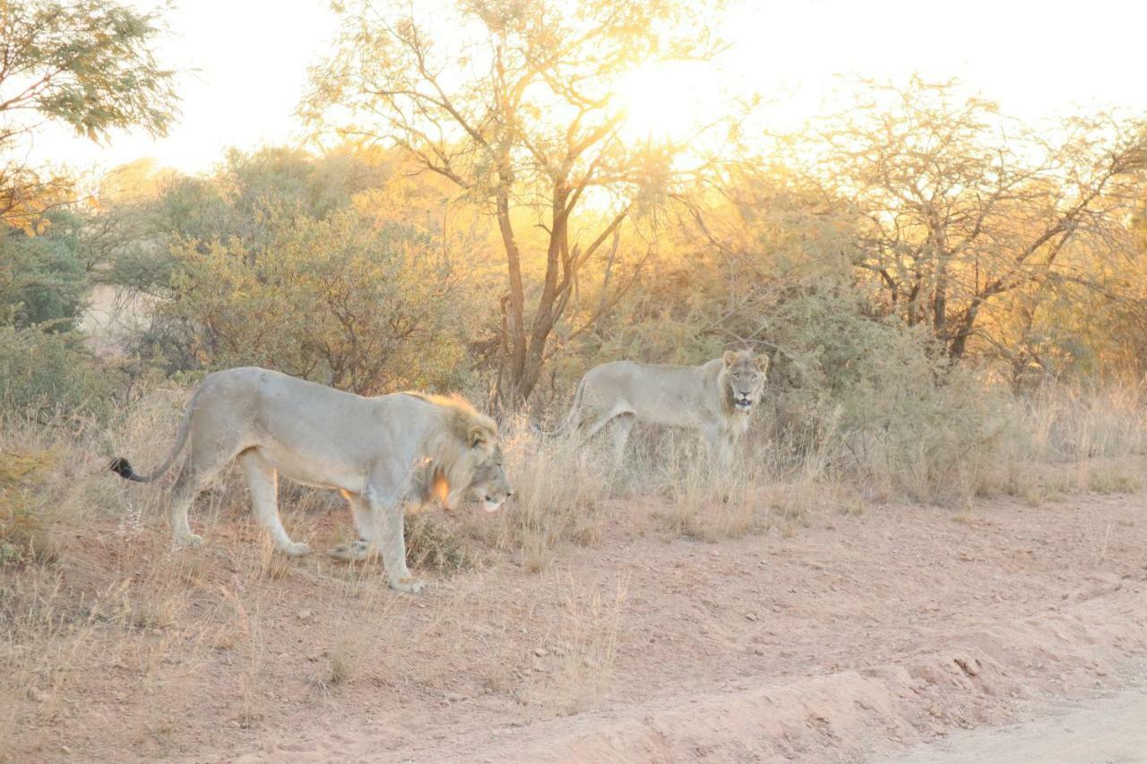 Kwalata Game Lodge Klipdrift Eksteriør bilde